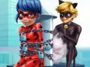 Cat Noir Saving Ladybug